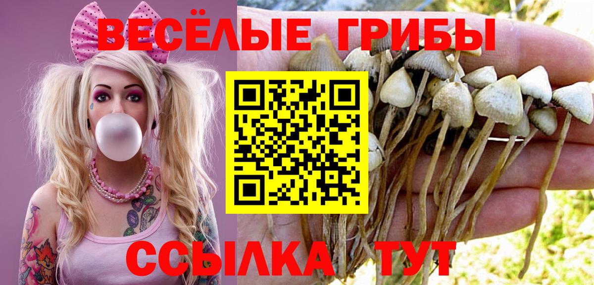Галлюциногенные грибы GOLDEN TEACHER  Галлюциногенные грибы Psilocybine cubensis  Дзержинский  Вход с VPN 