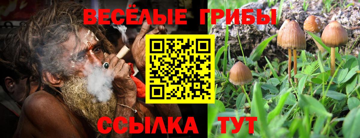 Псилоцибиновые грибы GOLDEN TEACHER Дзержинский